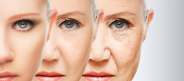 anti aging