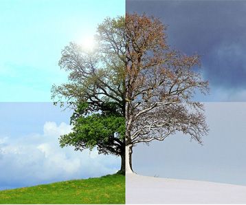 Goodbye Winter + Hello Spring - Switch your moisturiser for spring