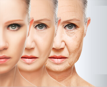 Discover the Best Anti-aging Creams according to our customers